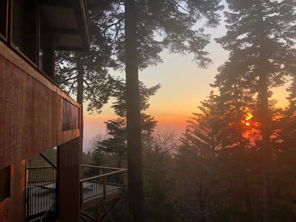 The Fireside Inn Idyllwild Kültér fotó